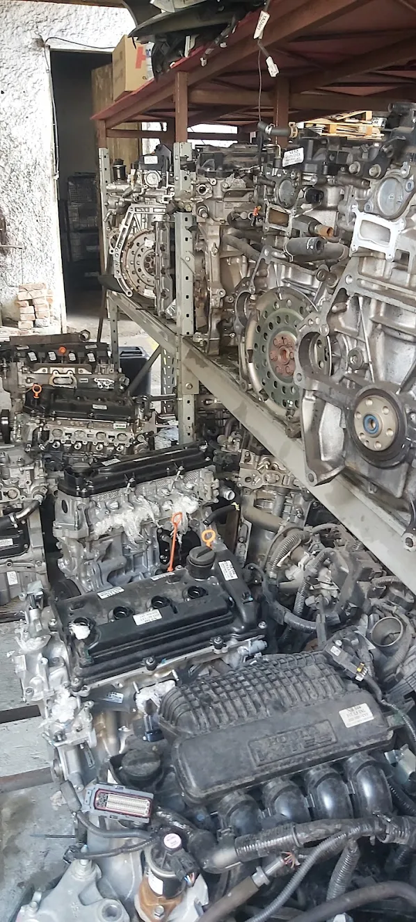 Motor